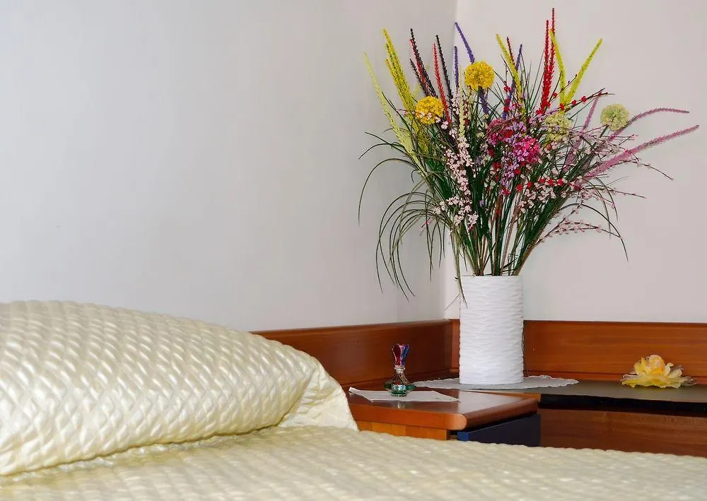 Optyflat Hotel Venice 0*,  Italy